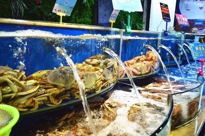 它堪稱南潯&ldquo;海鮮工廠&rdquo;,超70+種海鮮自選天天平價!