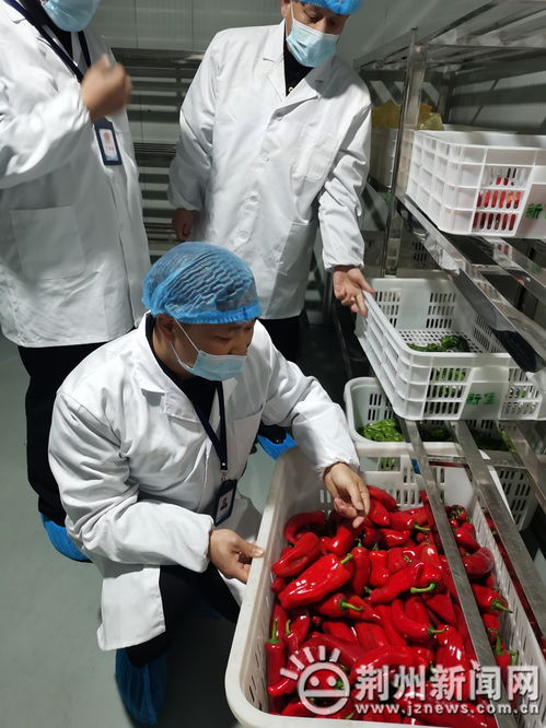 21種高風(fēng)險(xiǎn)食品禁入中小學(xué)幼兒園 沙市區(qū)開展專項(xiàng)檢查