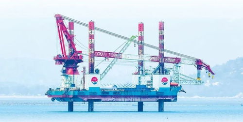 踔厲奮發(fā)新征程丨激發(fā) 藍(lán)色新動能