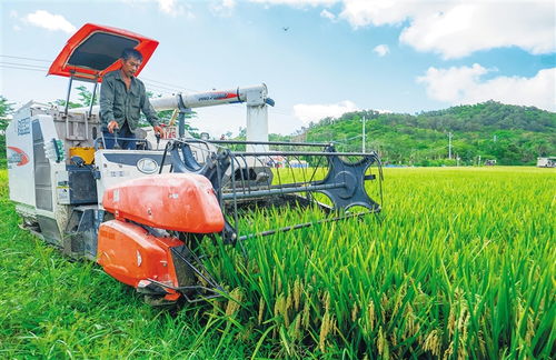 全球連線 相約消博會 高性能混凝土減水劑生產(chǎn)的創(chuàng)新與未來