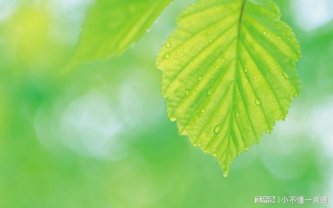 混凝土緩凝劑與高性能減水劑 現代混凝土工程的關鍵輔料生產與應用